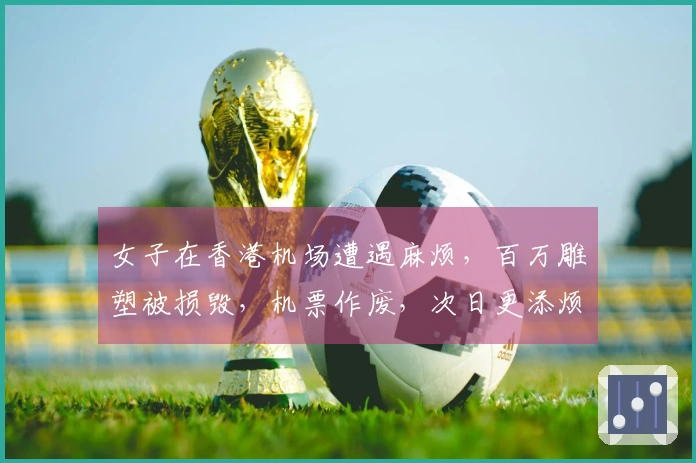 女子在香港机场遭遇麻烦，百万雕塑被损毁，机票作废，次日更添烦恼